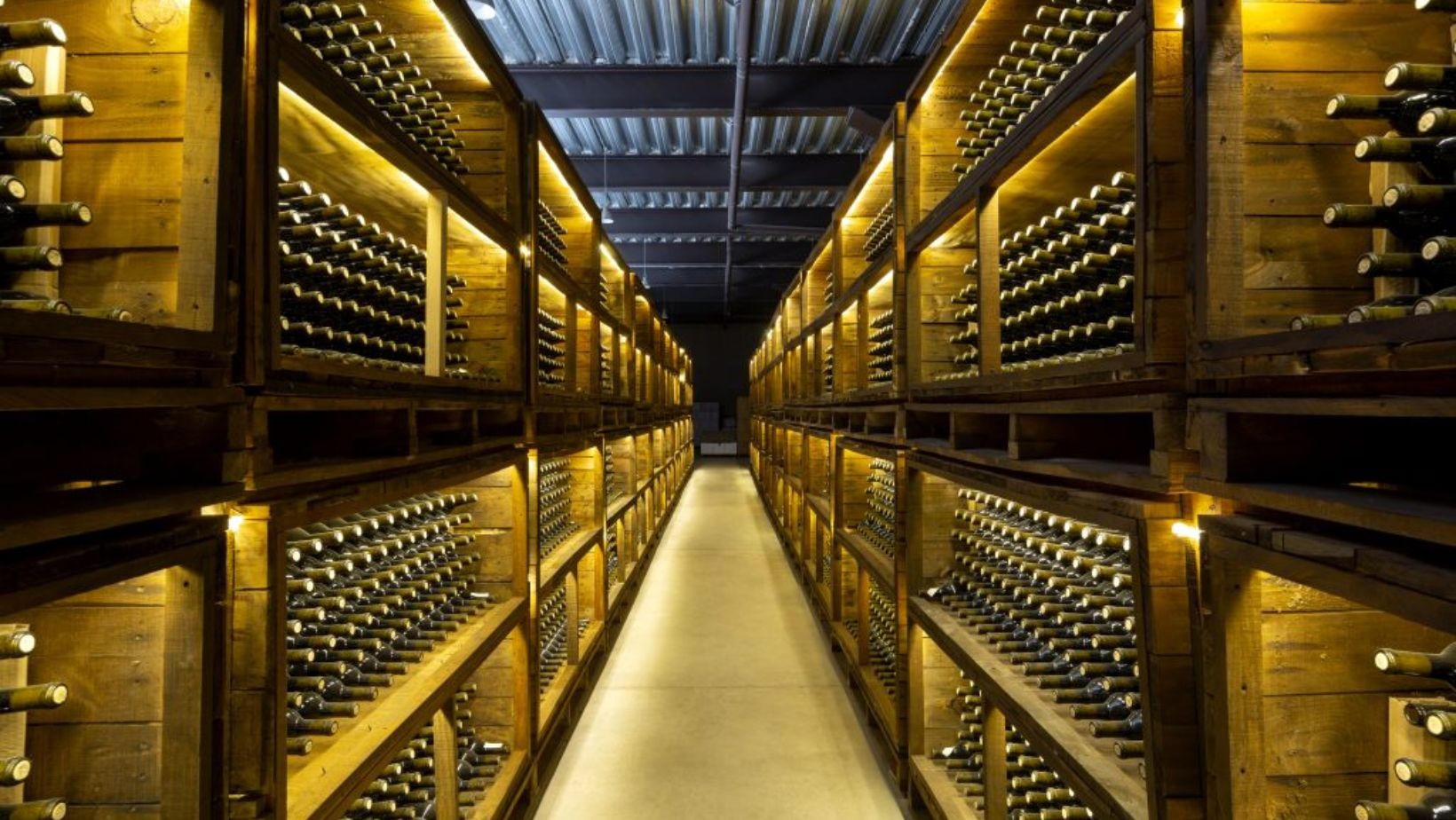 Viñedo San Miguel es reconocida como la Mejor Bodega del Año 2026