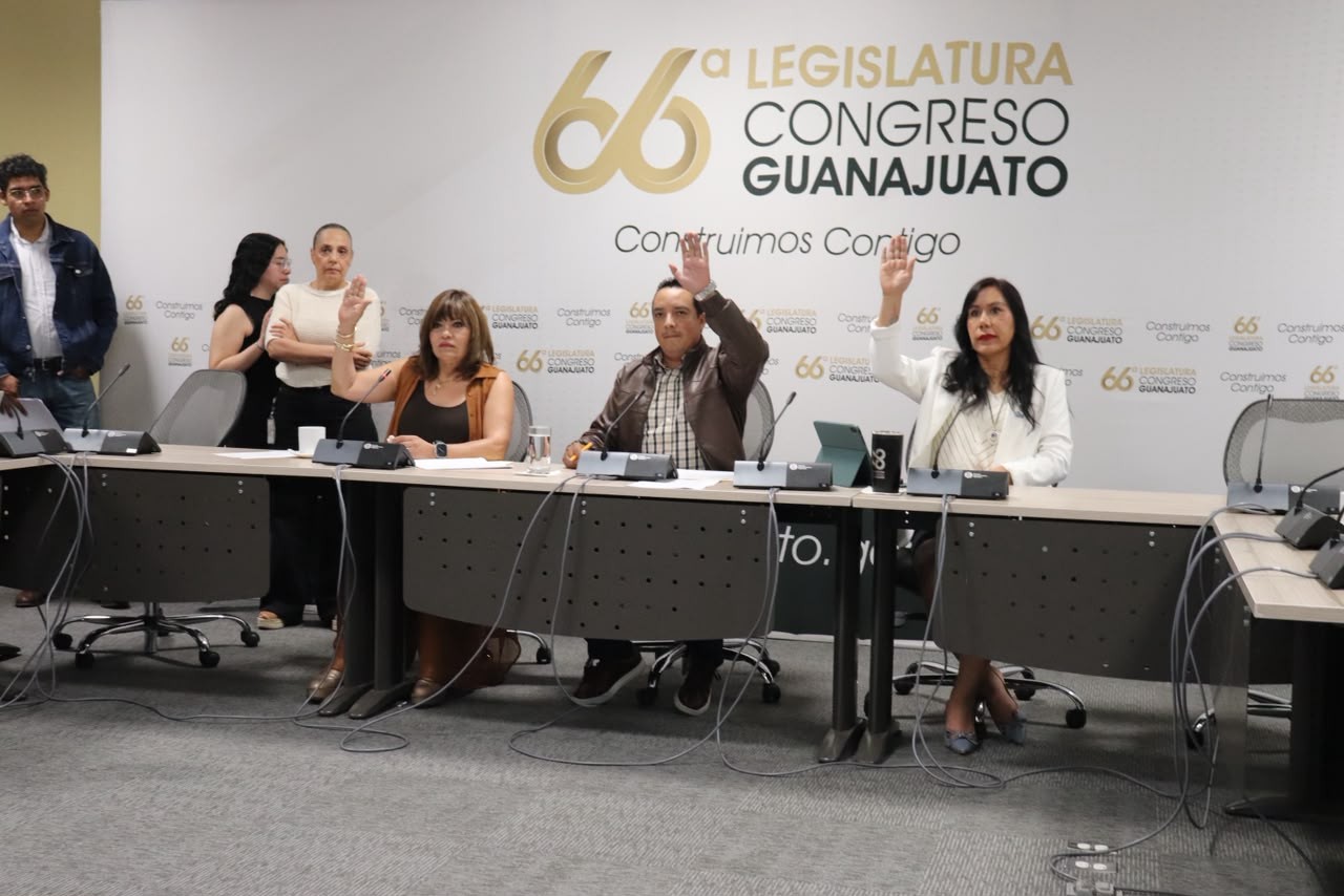 Retrasan una semana más discusión sobre despenalización del aborto en Guanajuato