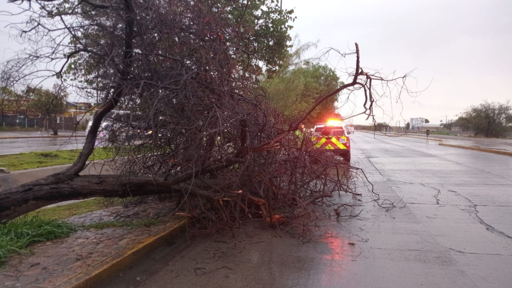 Lluvias en León elevan acumulado anual en menos de 7 horas