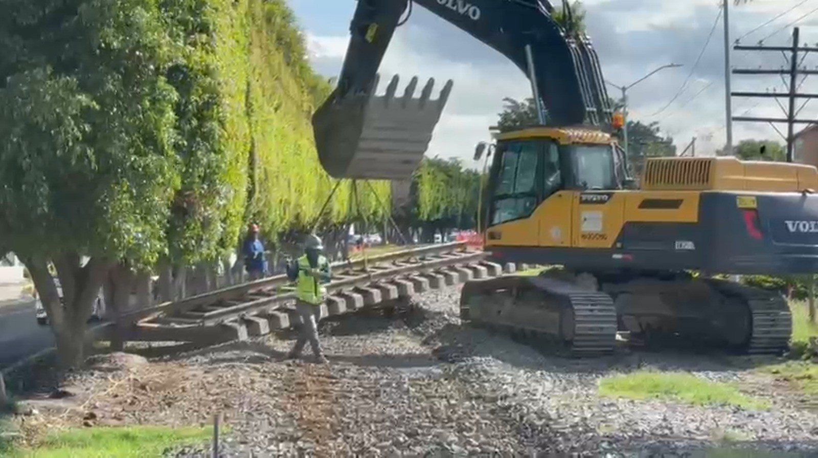 Busca municipio compensar 100 árboles en litigio con Ferromex por proyecto de tren