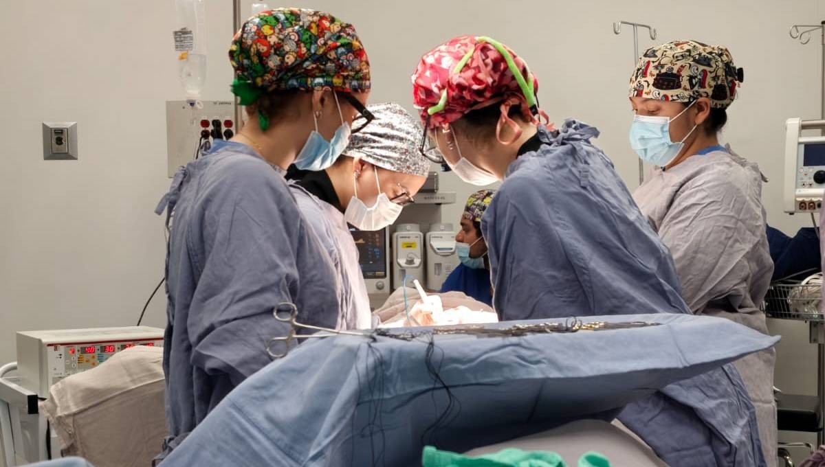 Donación de órganos de Jonathan da nueva vida a 5 personas