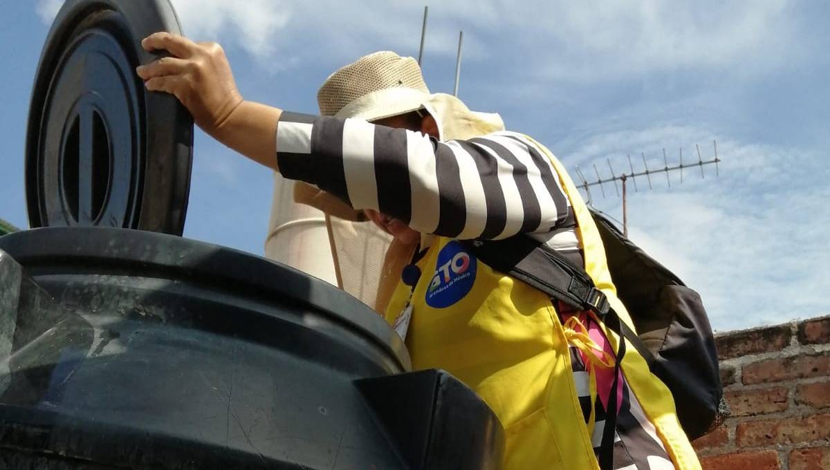 Dengue en Guanajuato: Se reducen casos 81%