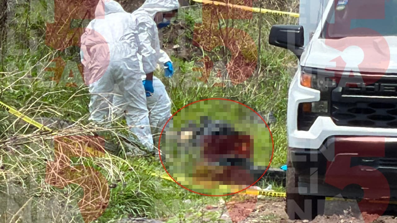 Hallan restos humanos dentro de bolsas negras en camino de terracería de León
