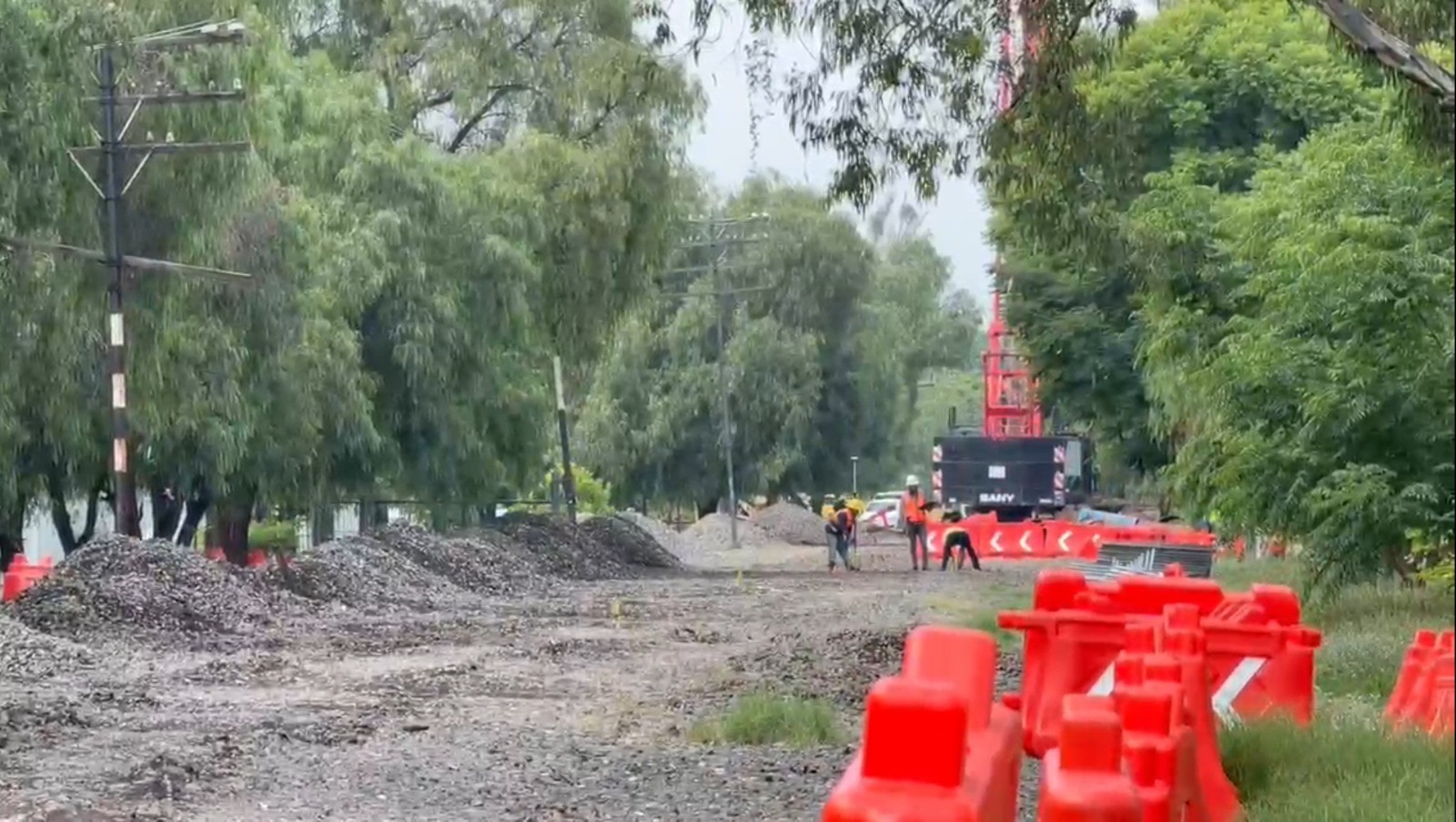 Descarta Medio Ambiente ecocidio por obras del tren; impacto será compensado, asegura