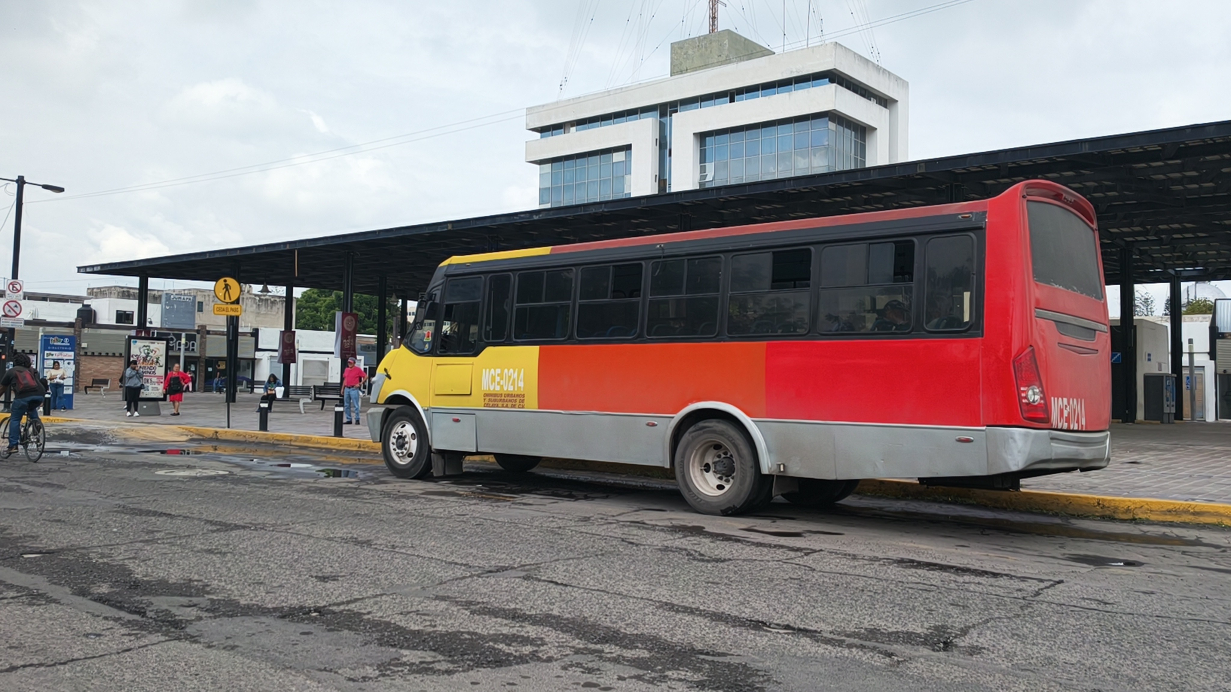Nueva empresa reforzará el transporte público en Celaya con cinco camiones temporales