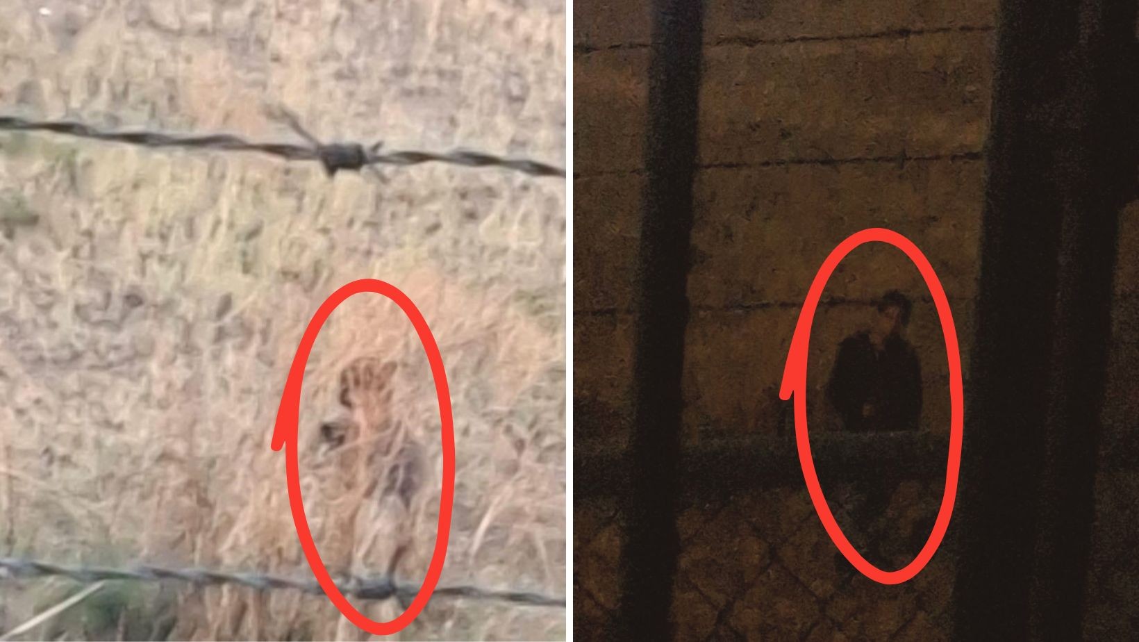 Acosador en Bugambilias de León alarma a vecinos por falta de acción Acosador en Bugambilias de León alarma a vecinos por falta de acción
