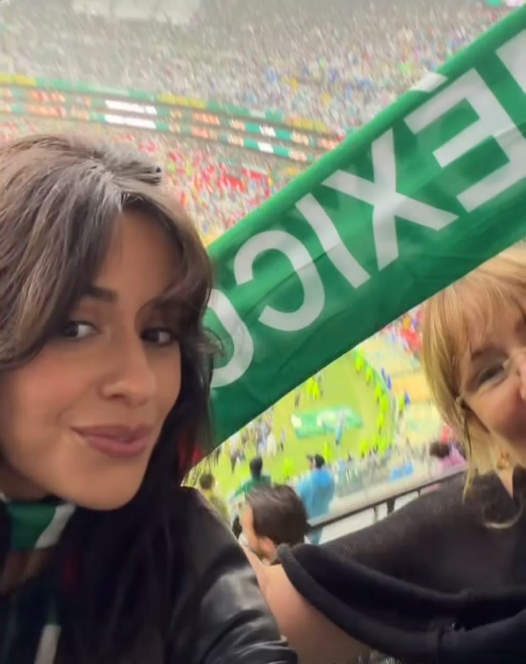 Famosos que asistieron a el partido de México Famosos que asistieron a el partido de México