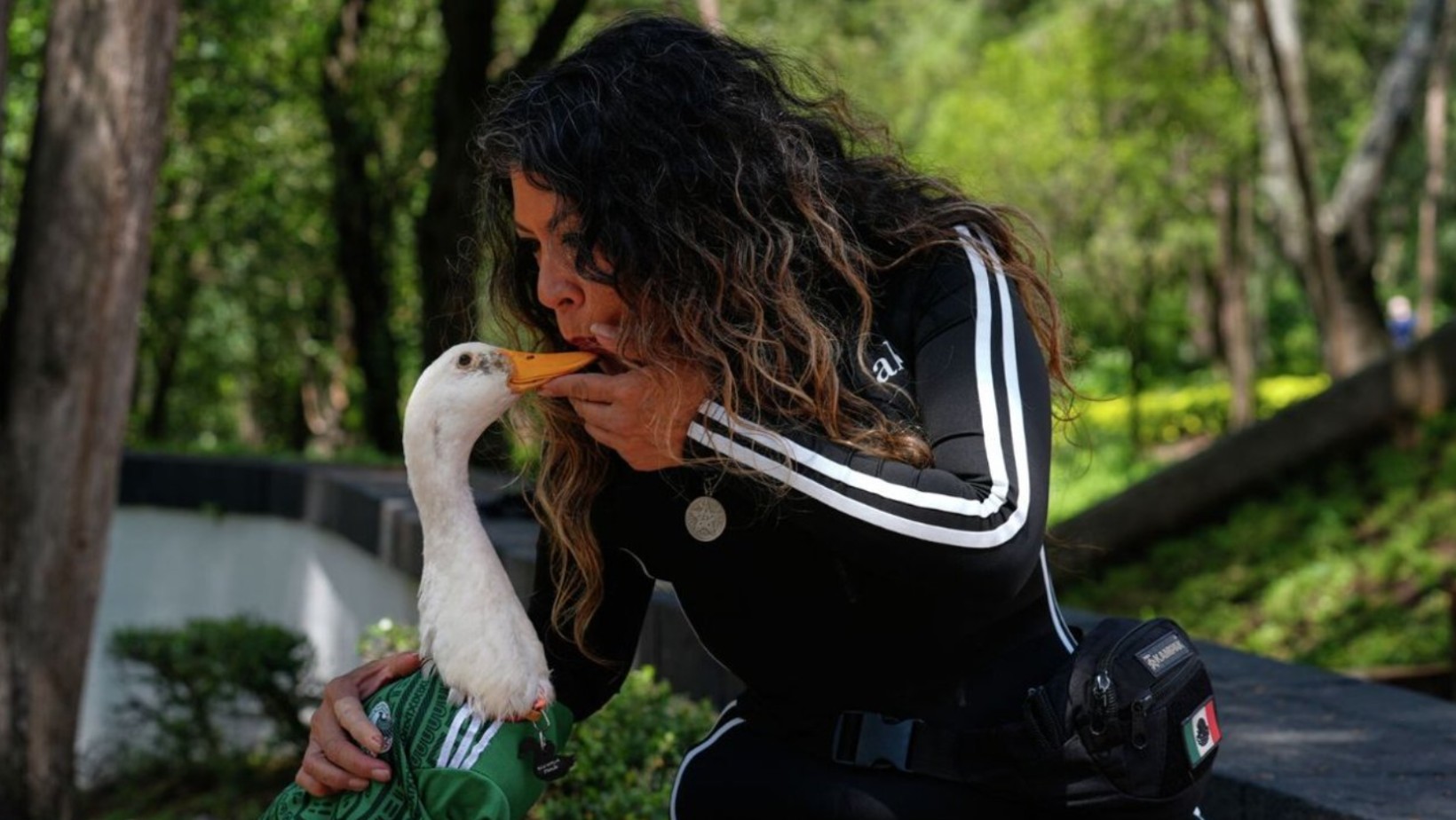 El pato que enamoró a México le cambio la vida a su familia El pato que enamoró a México le cambio la vida a su familia