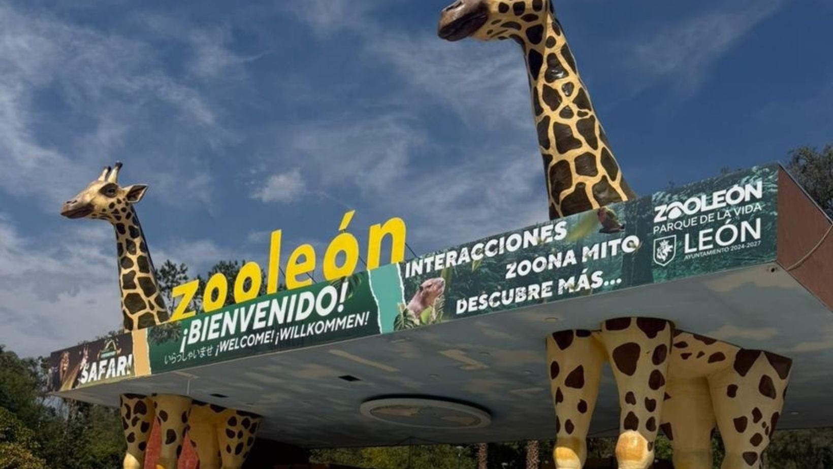Zoo León cuida a animales con cáncer y enfermedades crónicas; dos monos araña murieron pese a los esfuerzos