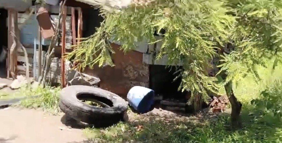 Fallece hombre por múltiples picaduras de abejas en San Miguel de las Carpas