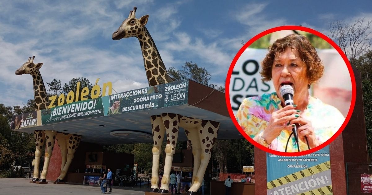 Consejeros buscan la renuncia de Rebeca González Pasini, presidenta del Zoológico de León