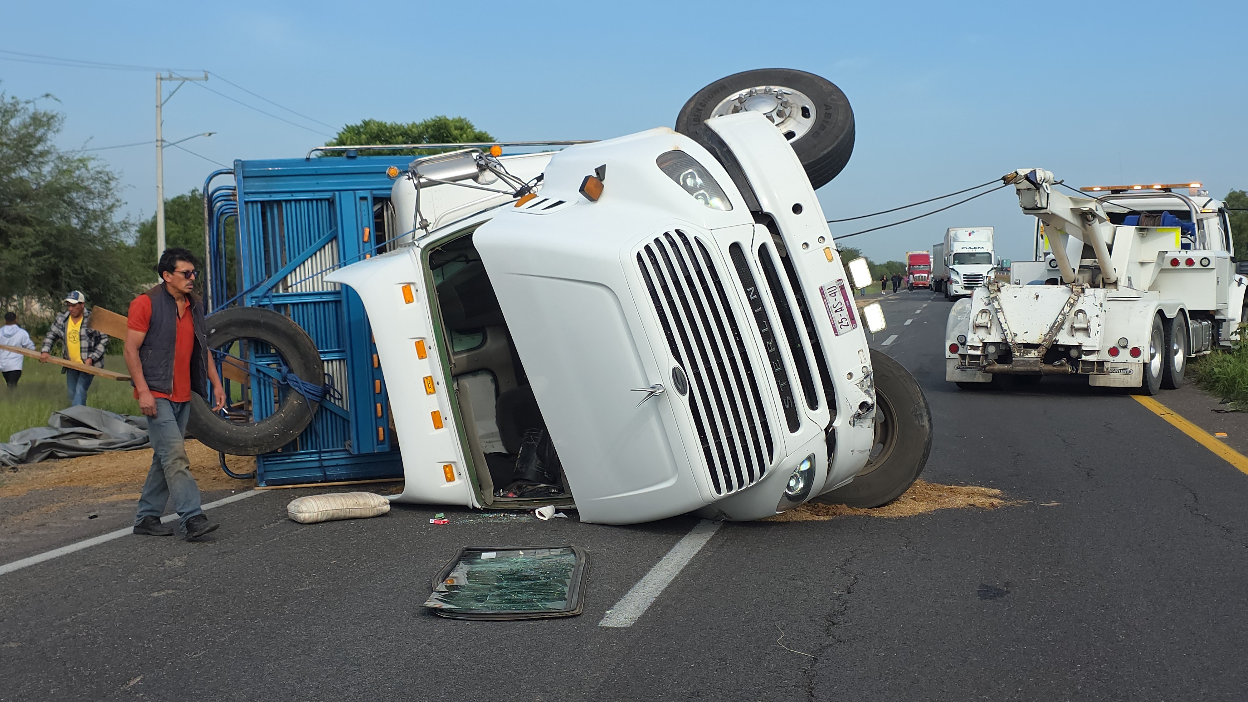 Chofer evita asalto, vuelca tráiler en la autopista Salamanca-Querétaro; mueren 20 ovejas