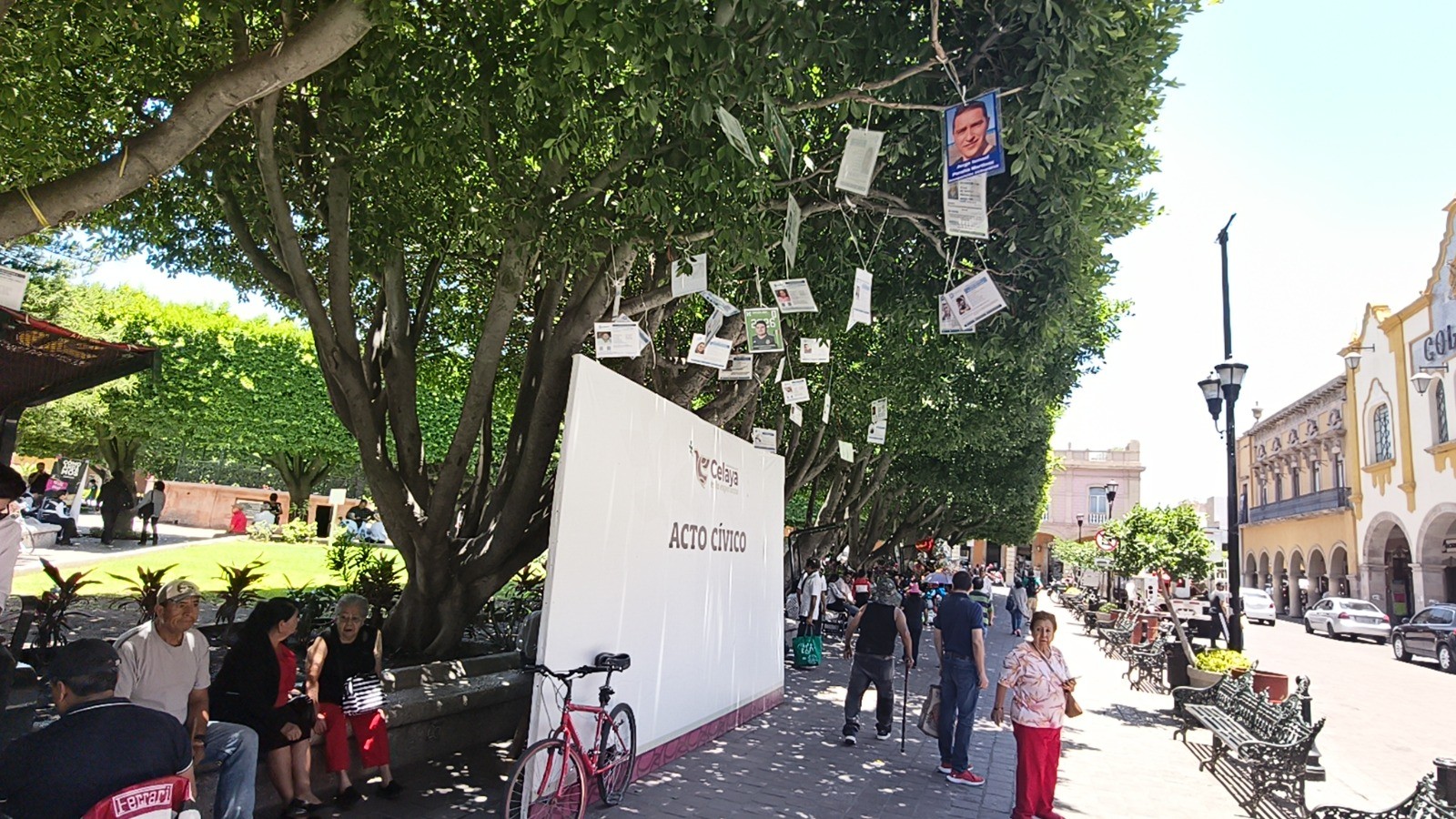 Renuevan Árbol de la Esperanza con nuevas fichas de personas desaparecidas en Celaya