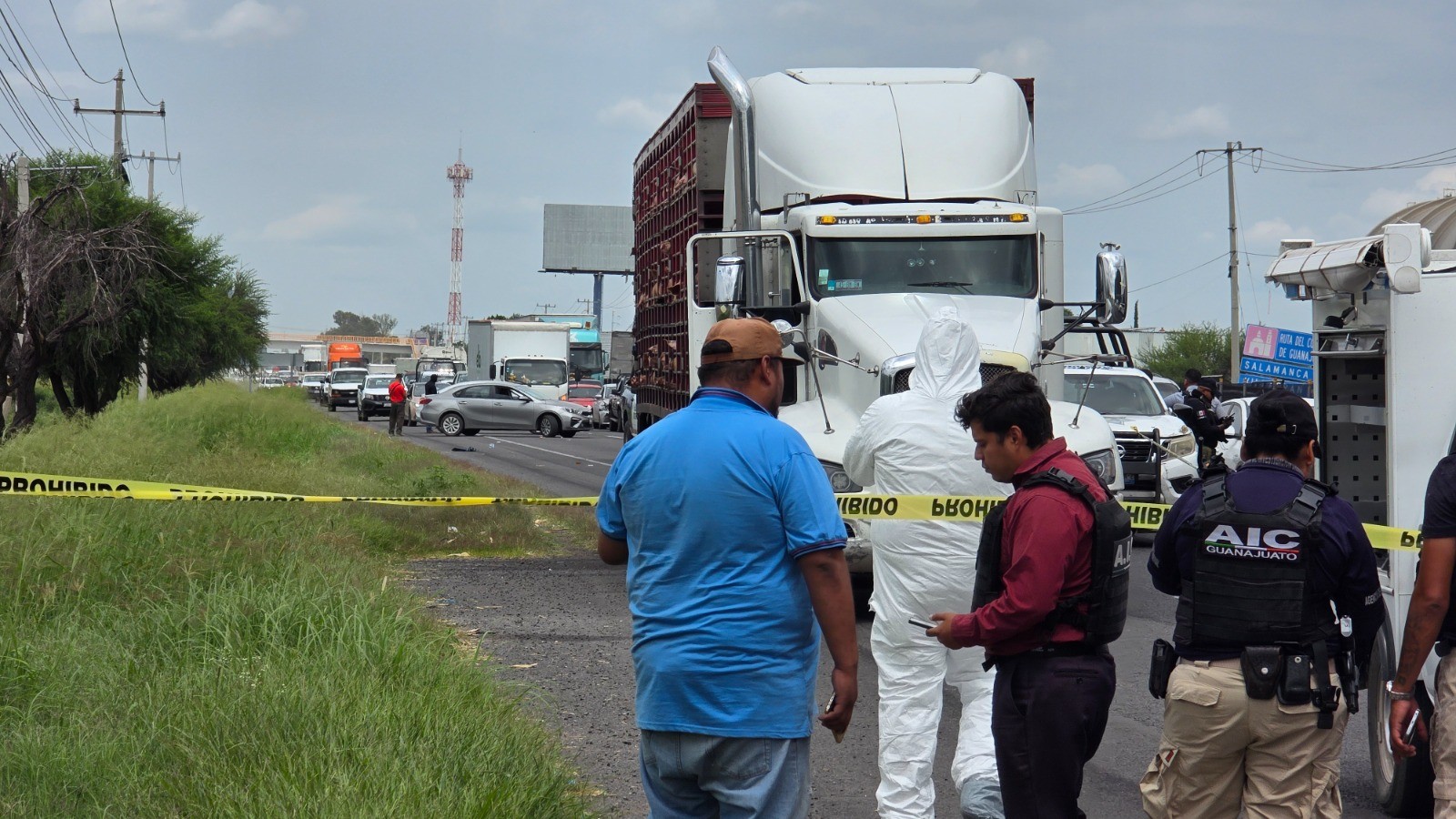 Balacera en la carretera Panamericana frustró asalto a un tráiler cargado con cerdos