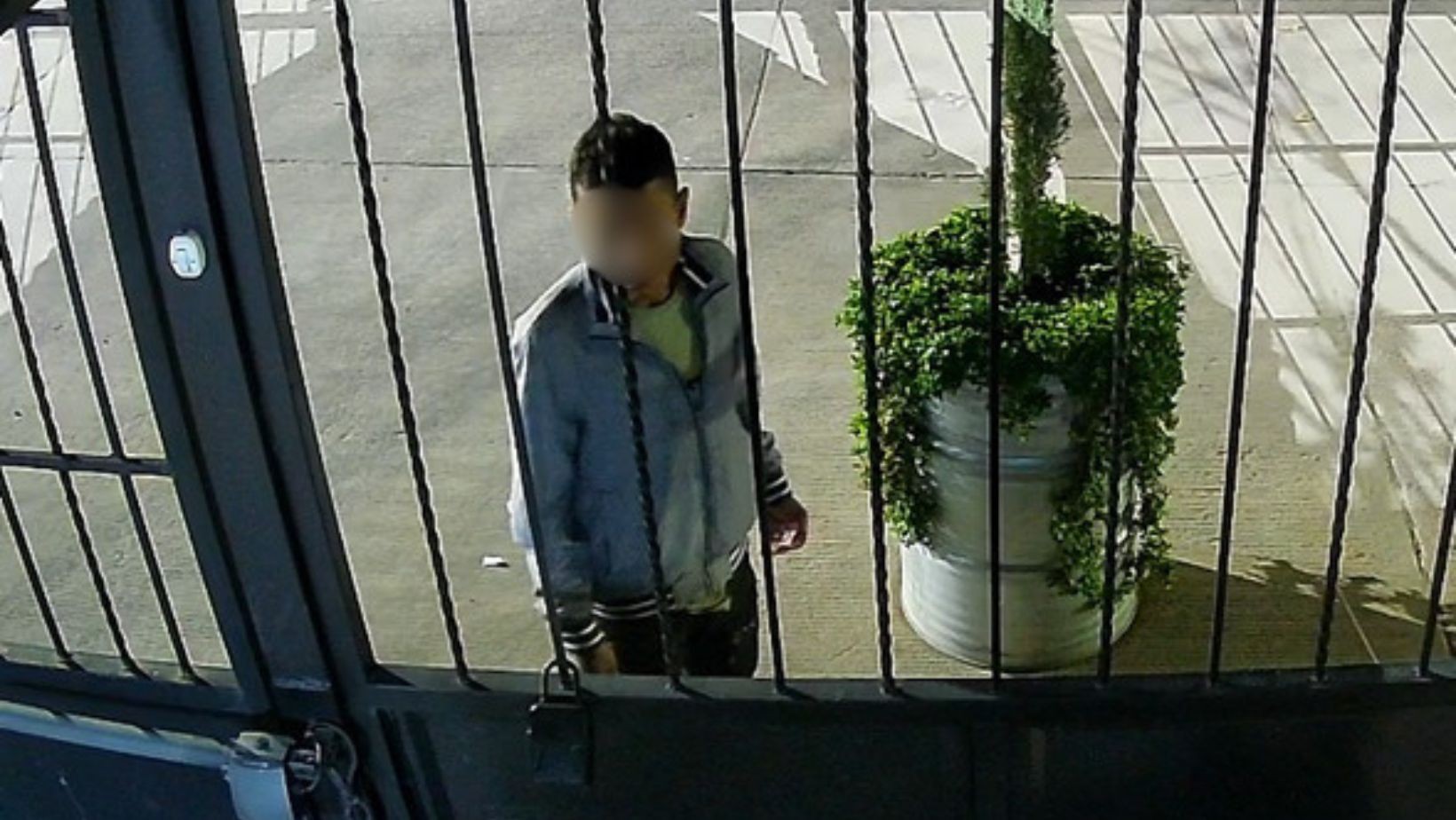 Robos en Brisas del Carmen alarman a vecinos