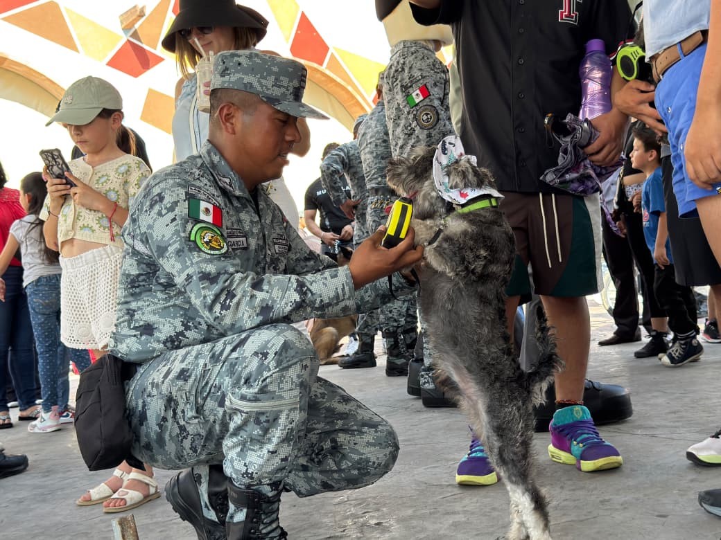 ¡Protagonistas de cuatro patas! Así celebró la Guardia Nacional el Día Mundial del Perro en Irapuato ¡Protagonistas de cuatro patas! Así celebró la Guardia Nacional el Día Mundial del Perro en Irapuato