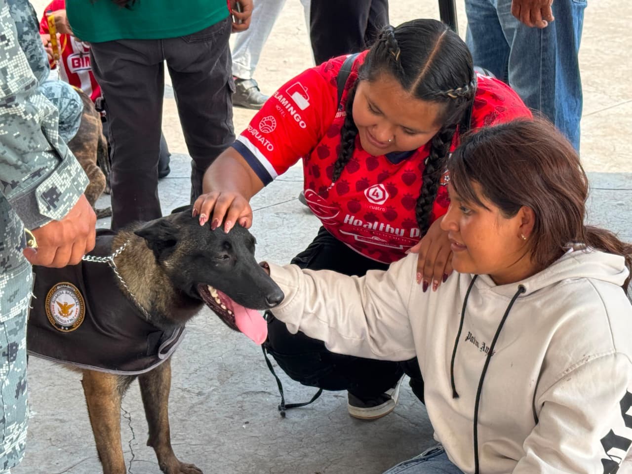 ¡Protagonistas de cuatro patas! Así celebró la Guardia Nacional el Día Mundial del Perro en Irapuato ¡Protagonistas de cuatro patas! Así celebró la Guardia Nacional el Día Mundial del Perro en Irapuato