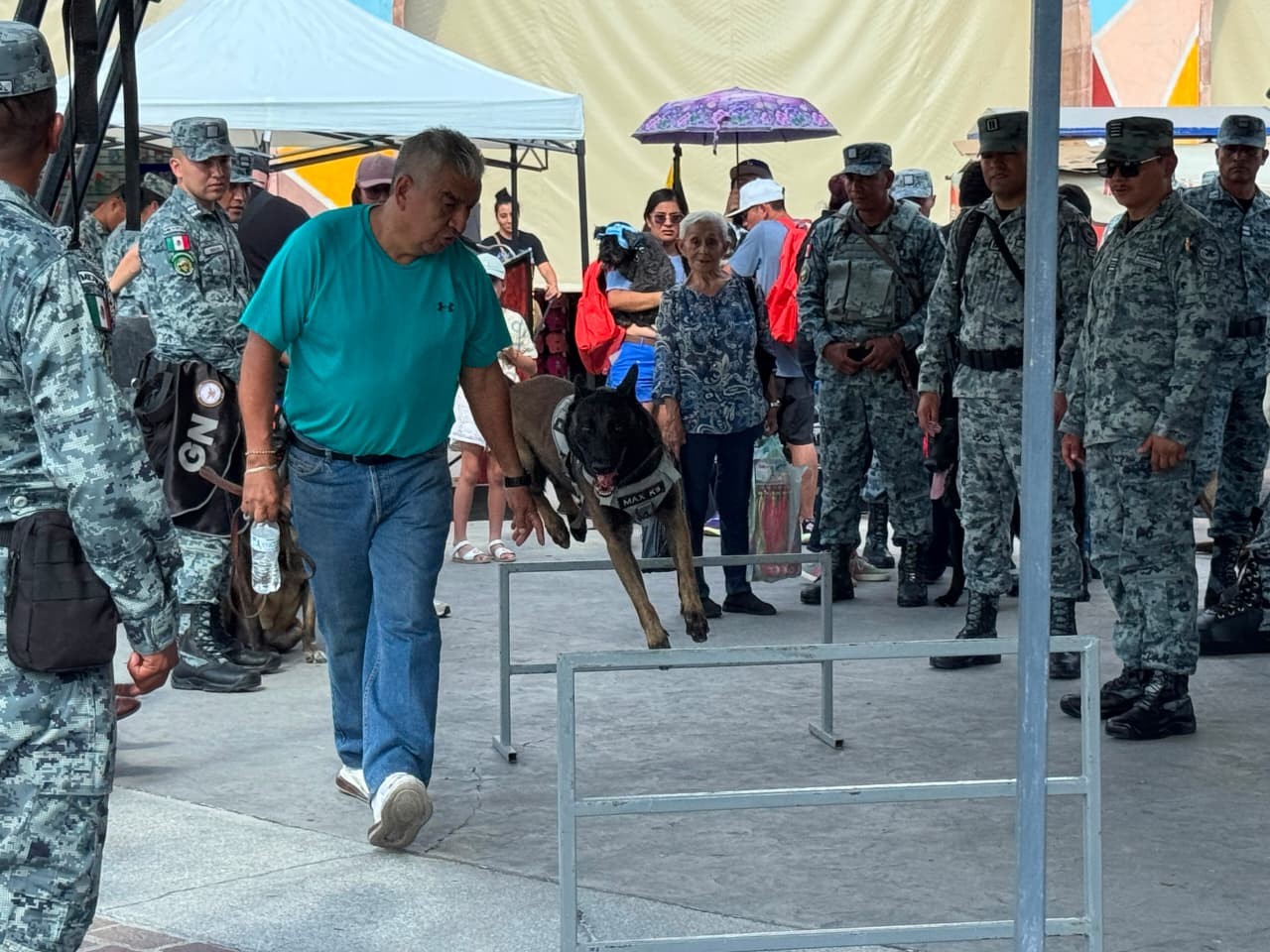 ¡Protagonistas de cuatro patas! Así celebró la Guardia Nacional el Día Mundial del Perro en Irapuato ¡Protagonistas de cuatro patas! Así celebró la Guardia Nacional el Día Mundial del Perro en Irapuato