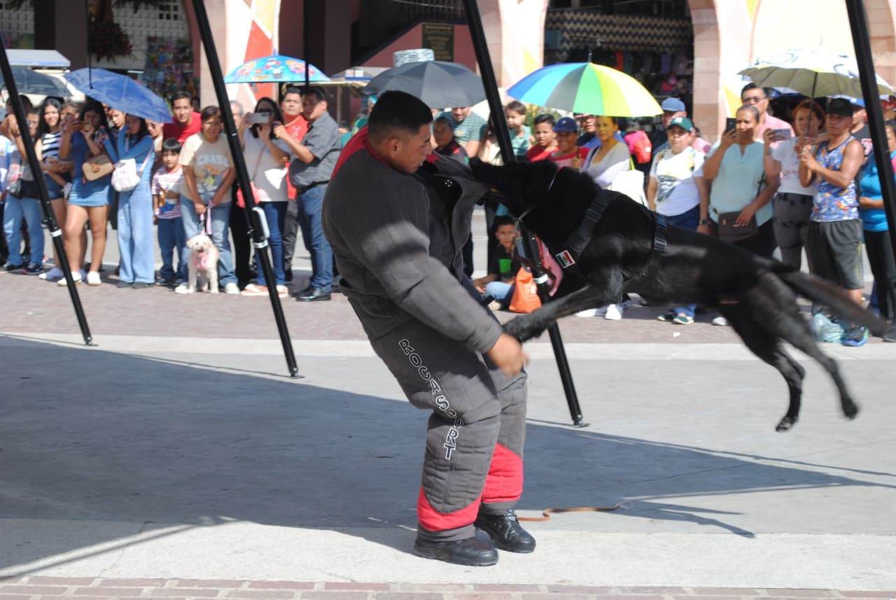 ¡Protagonistas de cuatro patas! Así celebró la Guardia Nacional el Día Mundial del Perro en Irapuato ¡Protagonistas de cuatro patas! Así celebró la Guardia Nacional el Día Mundial del Perro en Irapuato