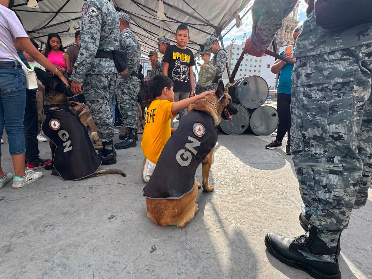 ¡Protagonistas de cuatro patas! Así celebró la Guardia Nacional el Día Mundial del Perro en Irapuato