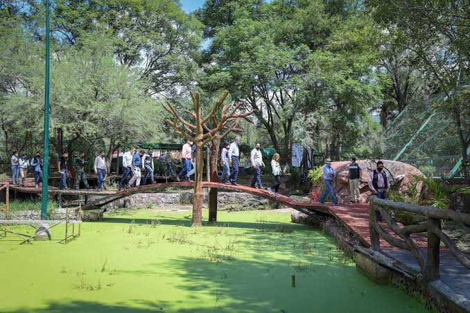 Pide Beto Moreno pruebas sobre presunta red de tráfico de especies en el Zoológico de León