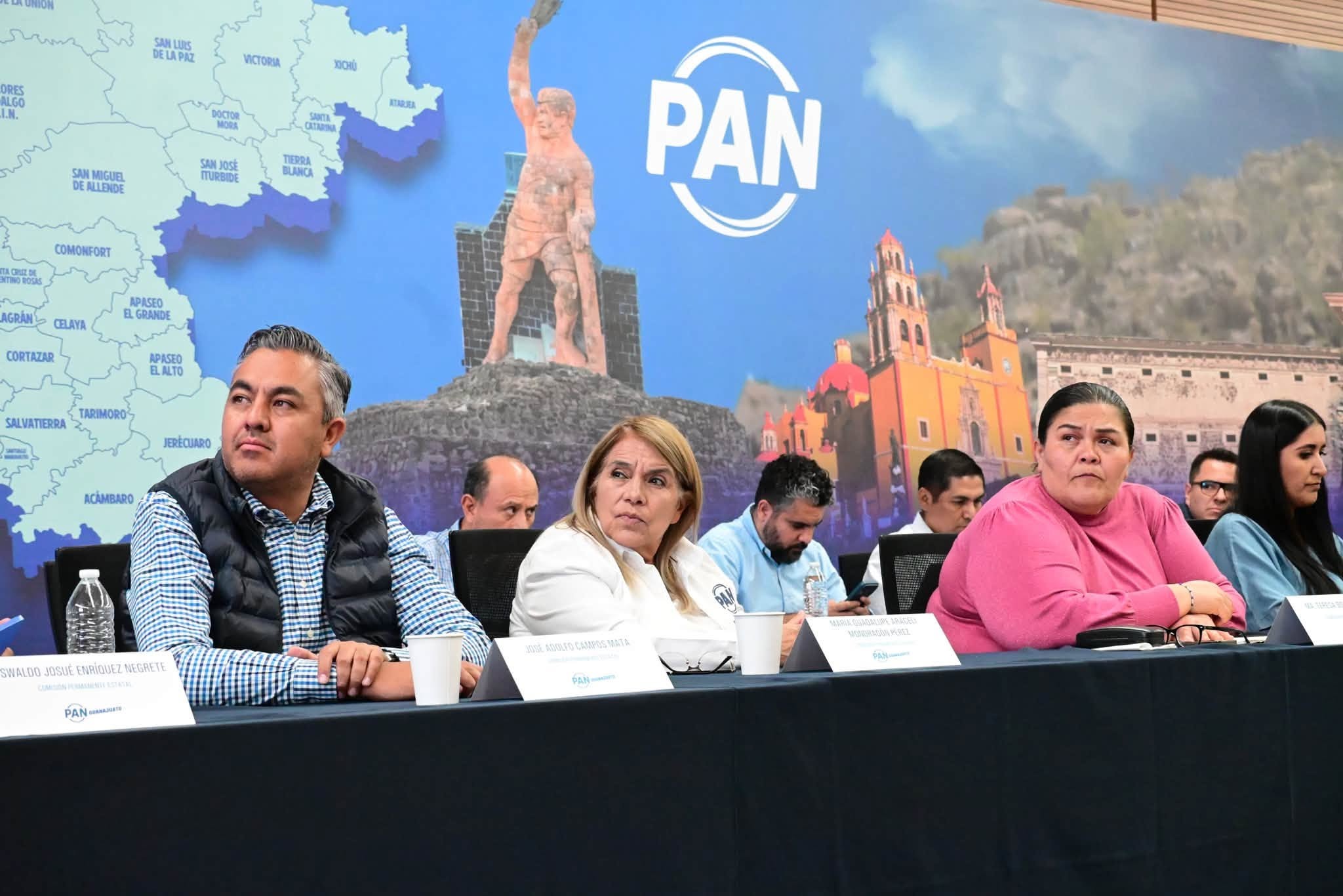 Instala PAN comisión especial para revisar los perfiles.