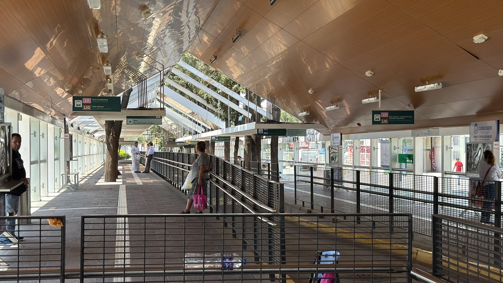 Abejas causan pánico en la estación de transferencia Ibarrilla