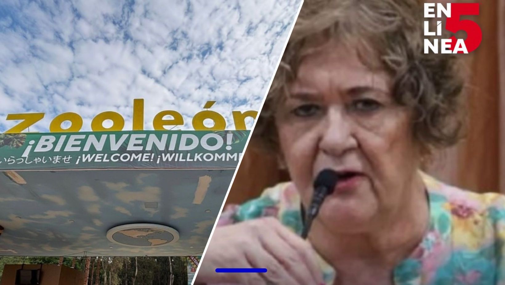 Consejo del Zoológico de León definirá al nuevo presidente