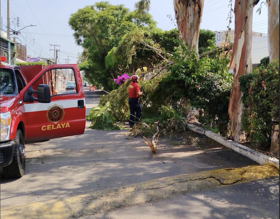 Celaya no escatimará recursos para atender emergencia por lluvias: alcalde