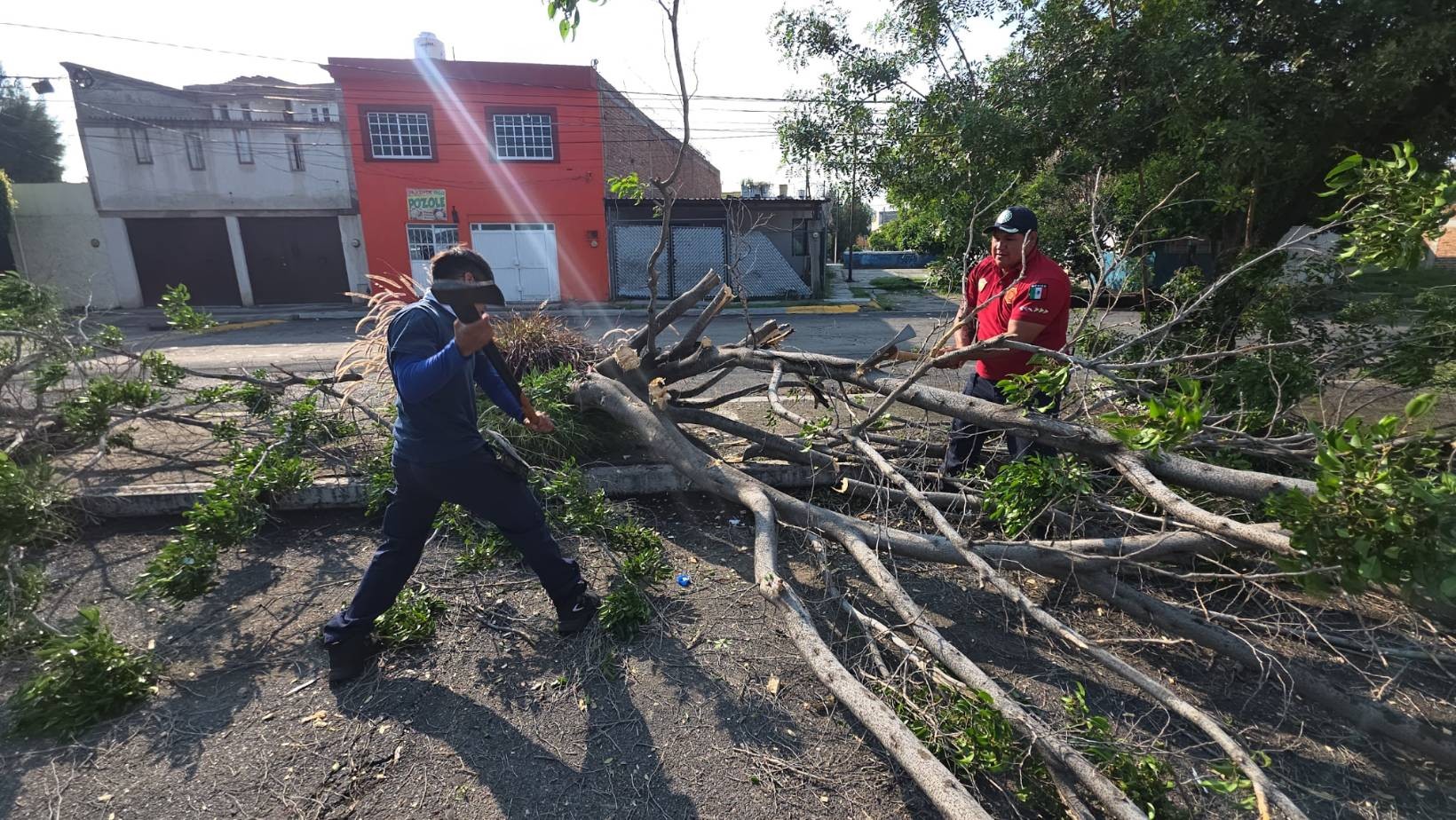 Una sola motosierra para toda la corporación: así enfrentaron la tormenta en Celaya