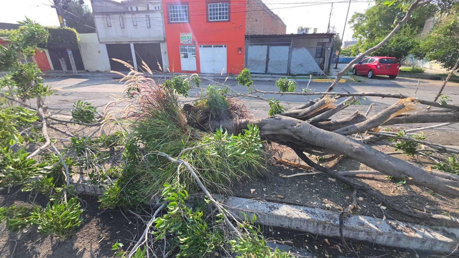 Celaya amanece con severas afectaciones tras tormenta que dejó más de 100 mm de lluvia