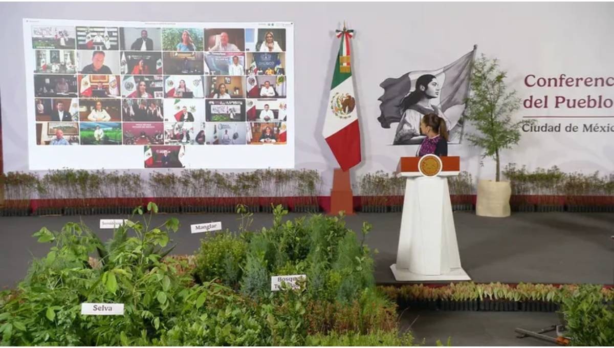 Guanajuato se suma a Jornada Nacional de Reforestación; buscan plantar más de 6 millones de árboles