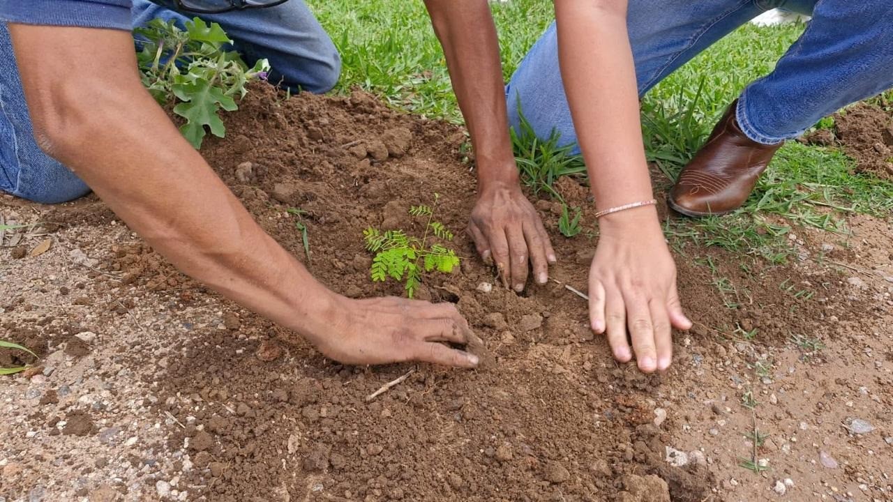 Guanajuato echa raíces: inicia Jornada Nacional de Reforestación en San Felipe