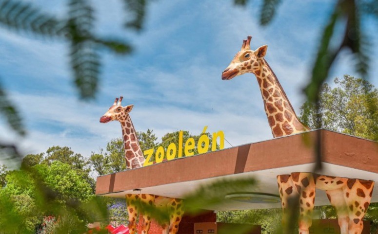Zoológico de León solicita más de 600 mil pesos para reforzar su plantilla