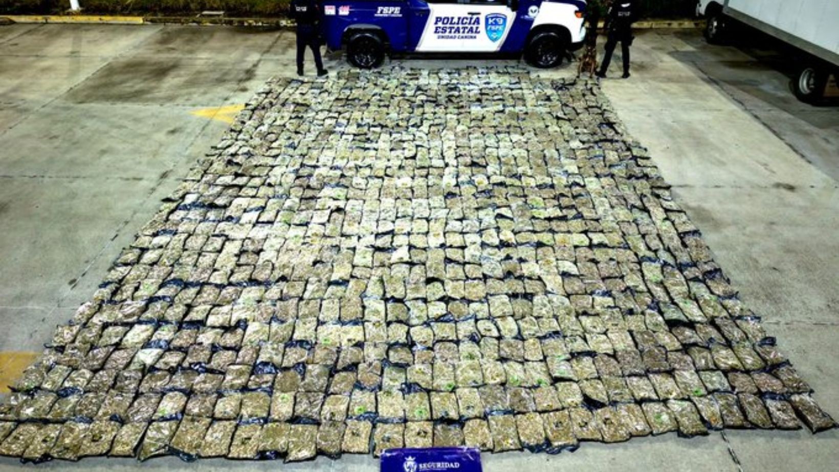 Orkan detecta marihuana en paquetería de León