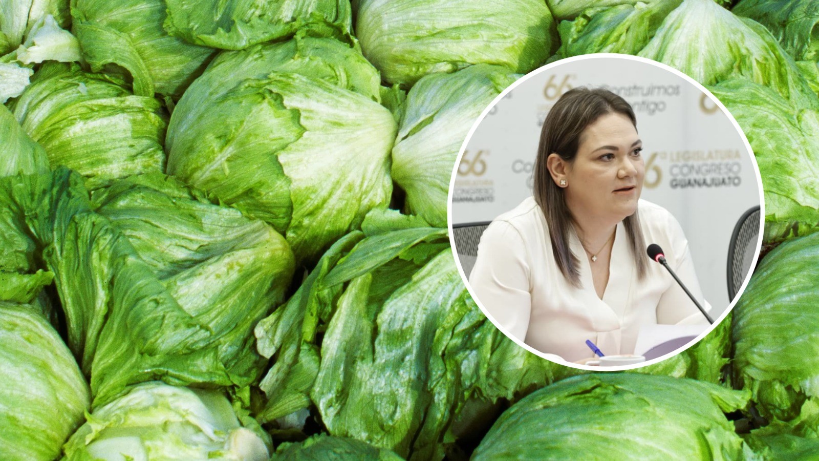 “Fue irresponsable”: diputada cuestiona señalamiento contra lechuga guanajuatense