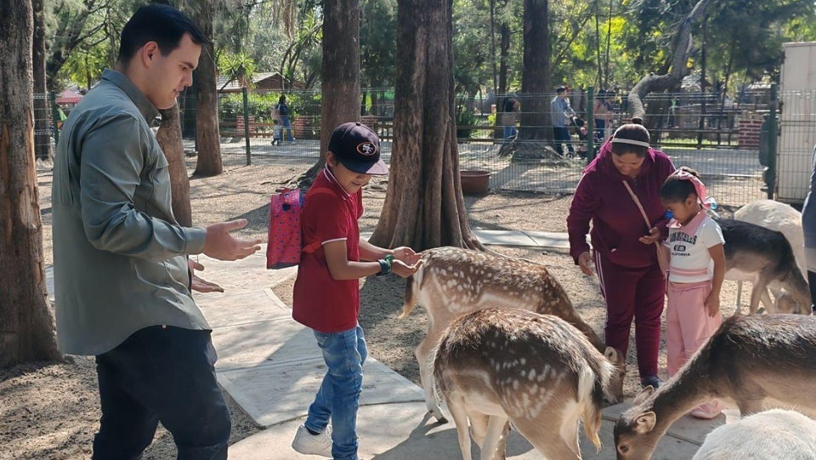Zoológico de León pide 10.5 mdp por caída de visitantes Zoológico de León pide 10.5 mdp por caída de visitantes