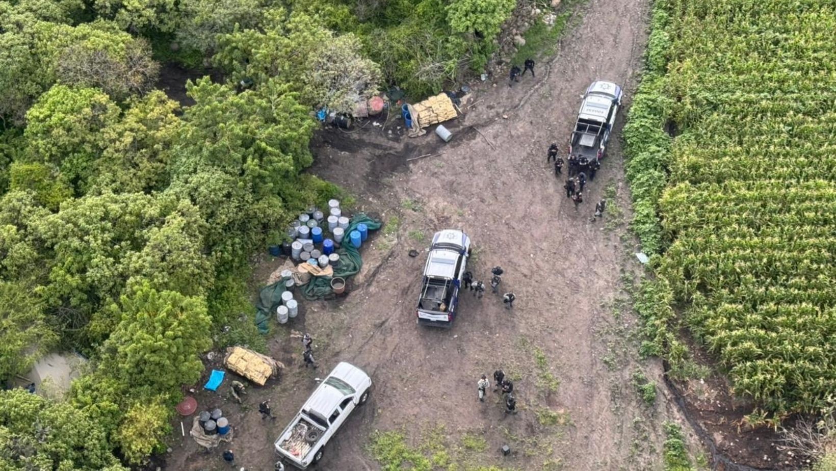 Desmantelan narcolaboratorio en zona serrana de Acámbaro Desmantelan narcolaboratorio en zona serrana de Acámbaro