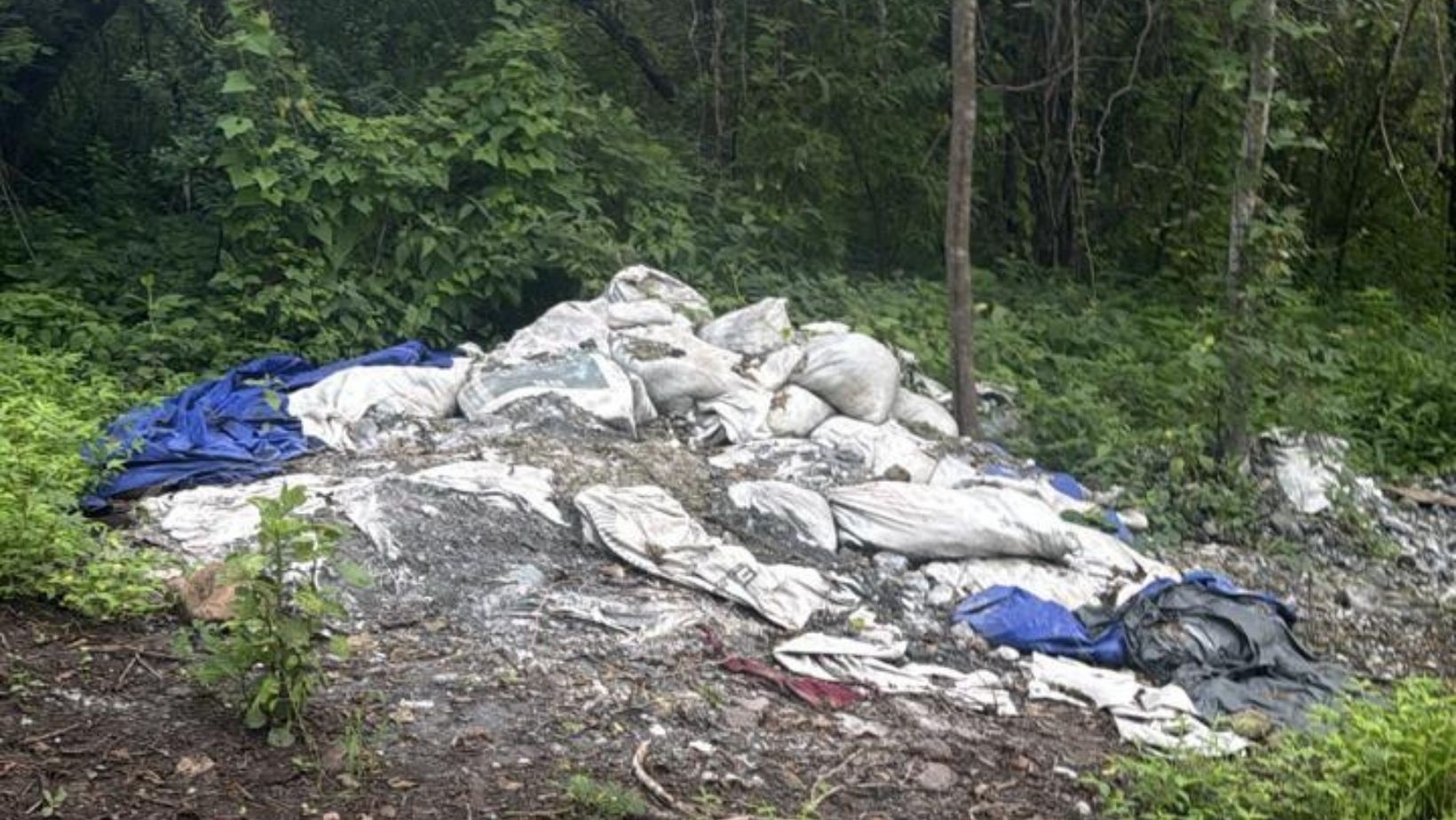 Desmantelan narcolaboratorio en zona serrana de Acámbaro Desmantelan narcolaboratorio en zona serrana de Acámbaro