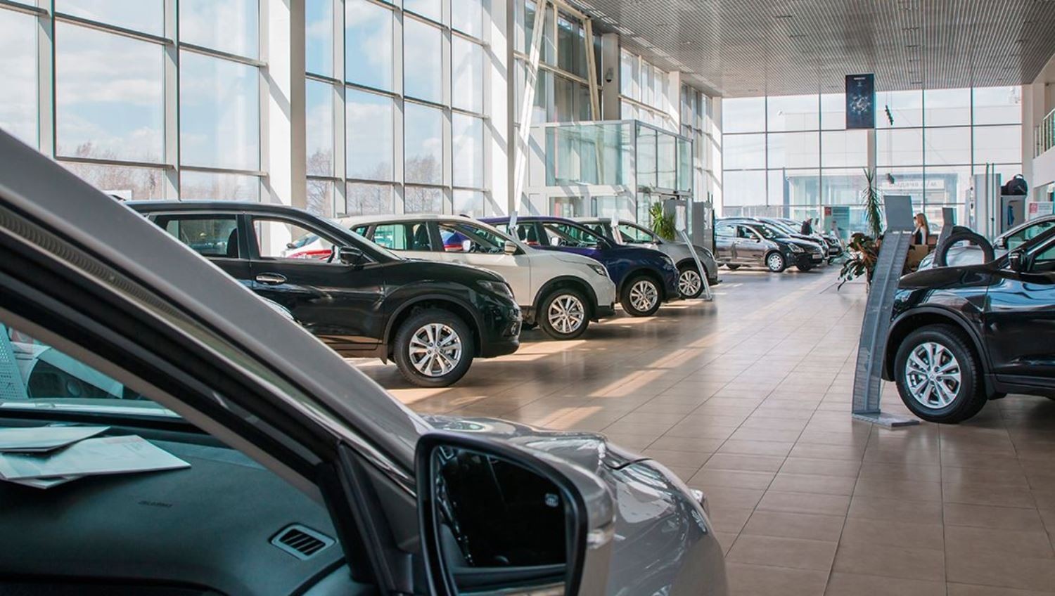 Llegarán 38 nuevas agencias de autos a Guanajuato; sector prevé crecimiento sostenido