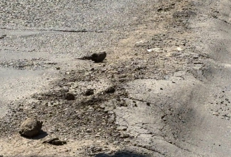 La ruta de los baches y bordos: conductores piden rehabilitación de Prolongación Juárez en León La ruta de los baches y bordos: conductores piden rehabilitación de Prolongación Juárez en León