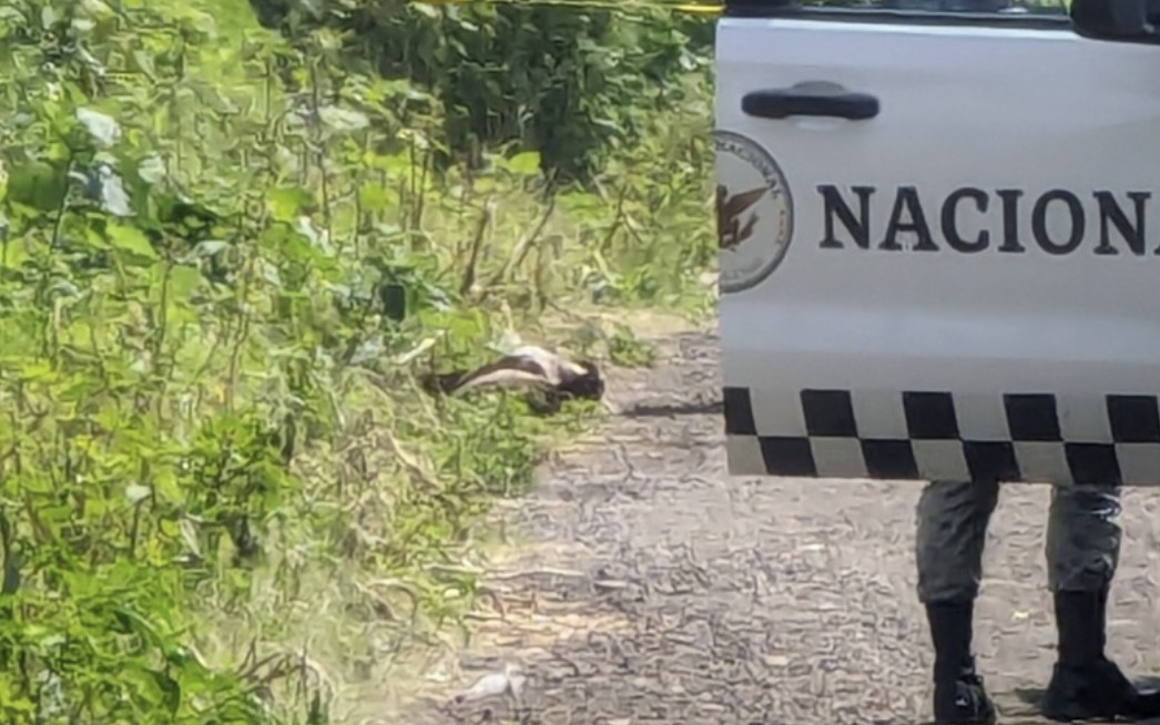 Muere joven tras caer de su caballo en camino de terracería en la comunidad de Galvanes