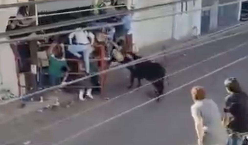 Muere vecino de Tarimoro tras ser embestido por un toro durante la Tarimorada