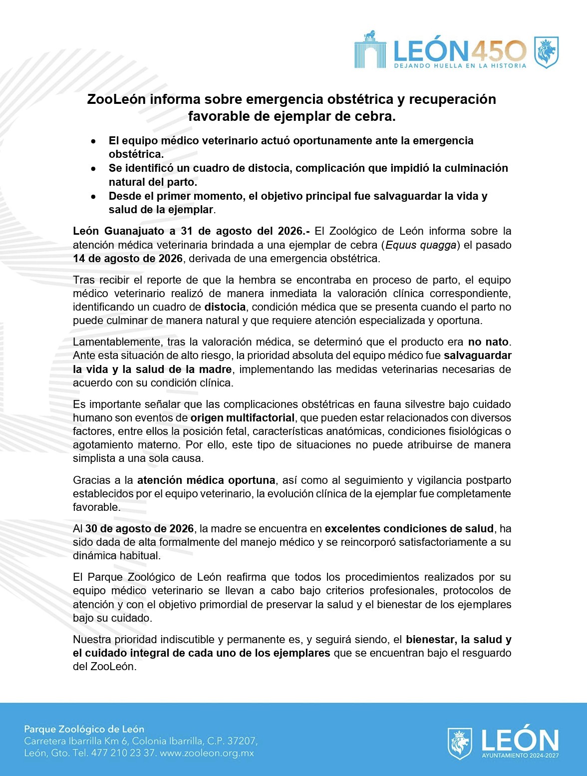Mueren cebra y su cría tras presunta negligencia veterinaria durante el parto Mueren cebra y su cría tras presunta negligencia veterinaria durante el parto