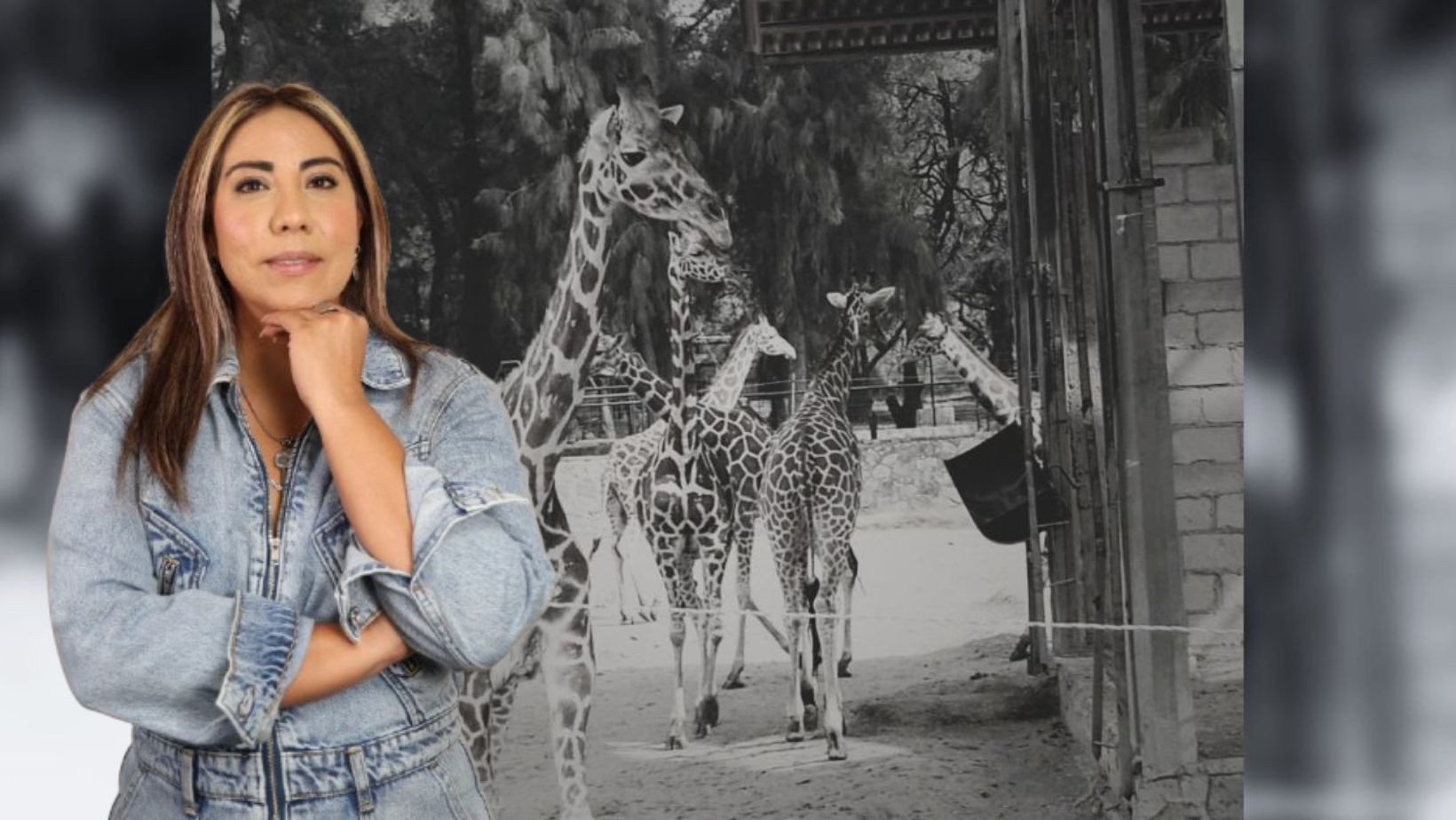 Regidora pide cambios para cuidar a los animales del Zoológico de León