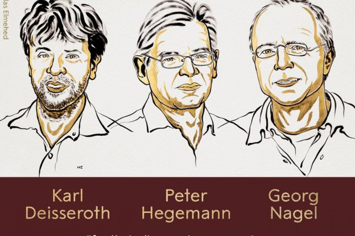 Nobel de Medicina 2026: Premian a científicos por crear un “control remoto” para el cerebro