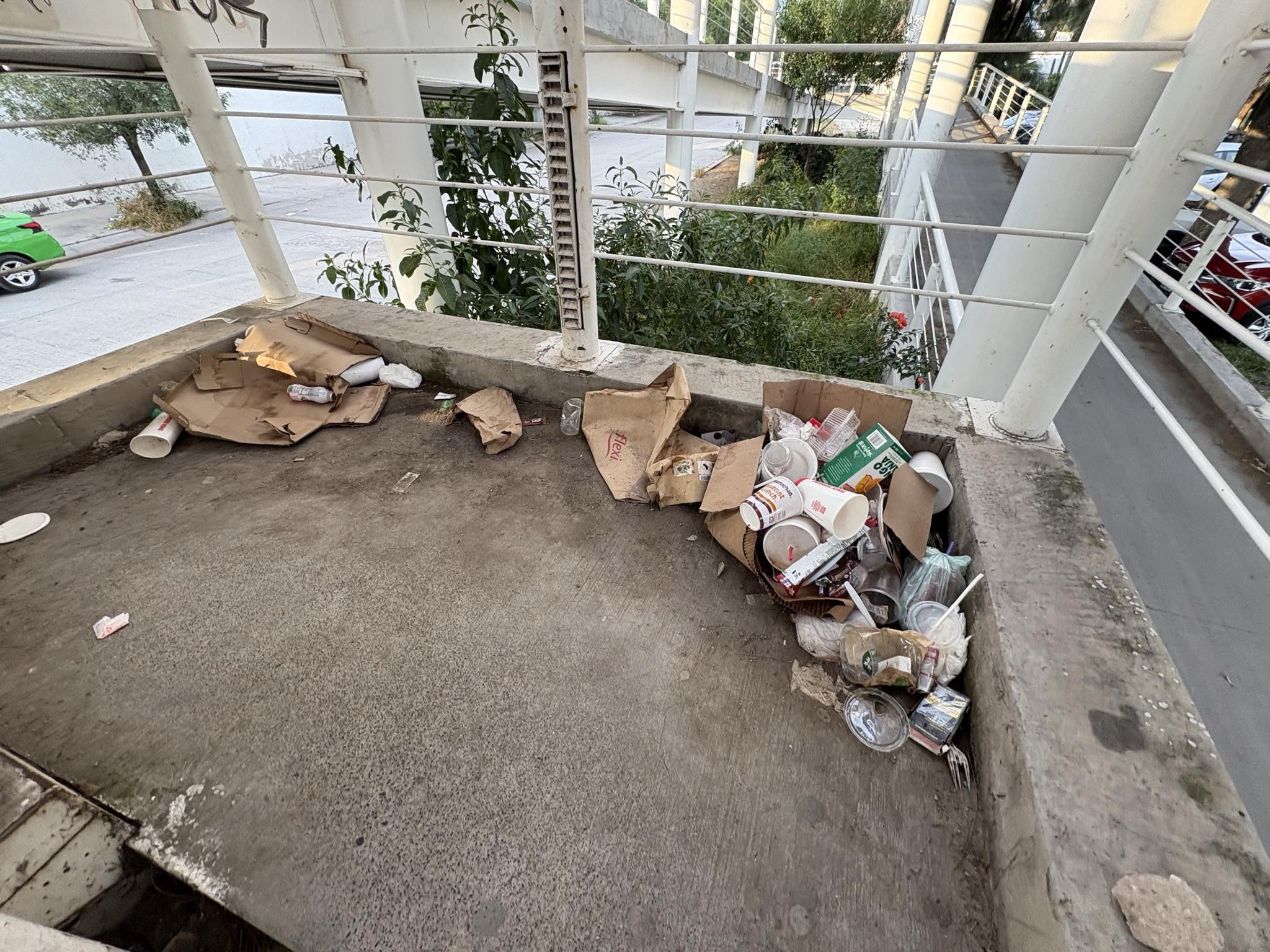 En malas condiciones y con mal olor: denuncian abandono de puente peatonal en León