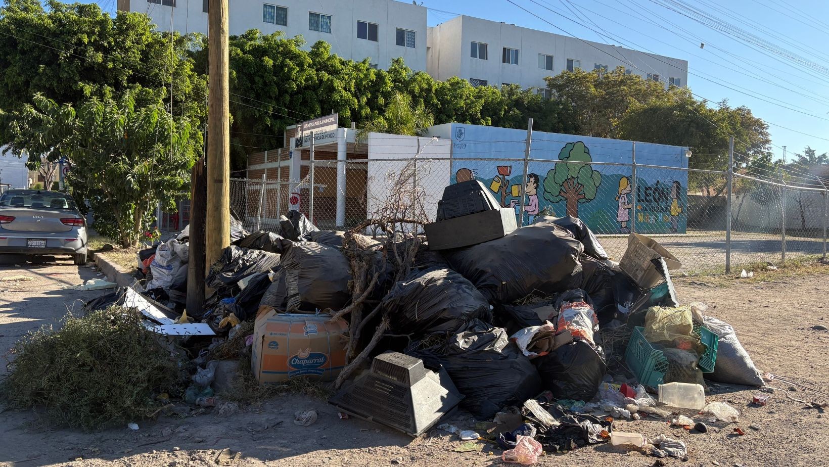 Basura invade la zona de una biblioteca en León; vecinos piden ayuda Basura invade la zona de una biblioteca en León; vecinos piden ayuda