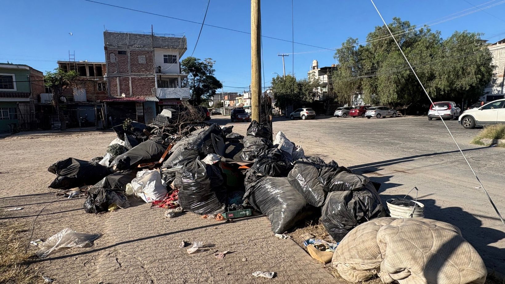 Basura invade la zona de una biblioteca en León; vecinos piden ayuda Basura invade la zona de una biblioteca en León; vecinos piden ayuda