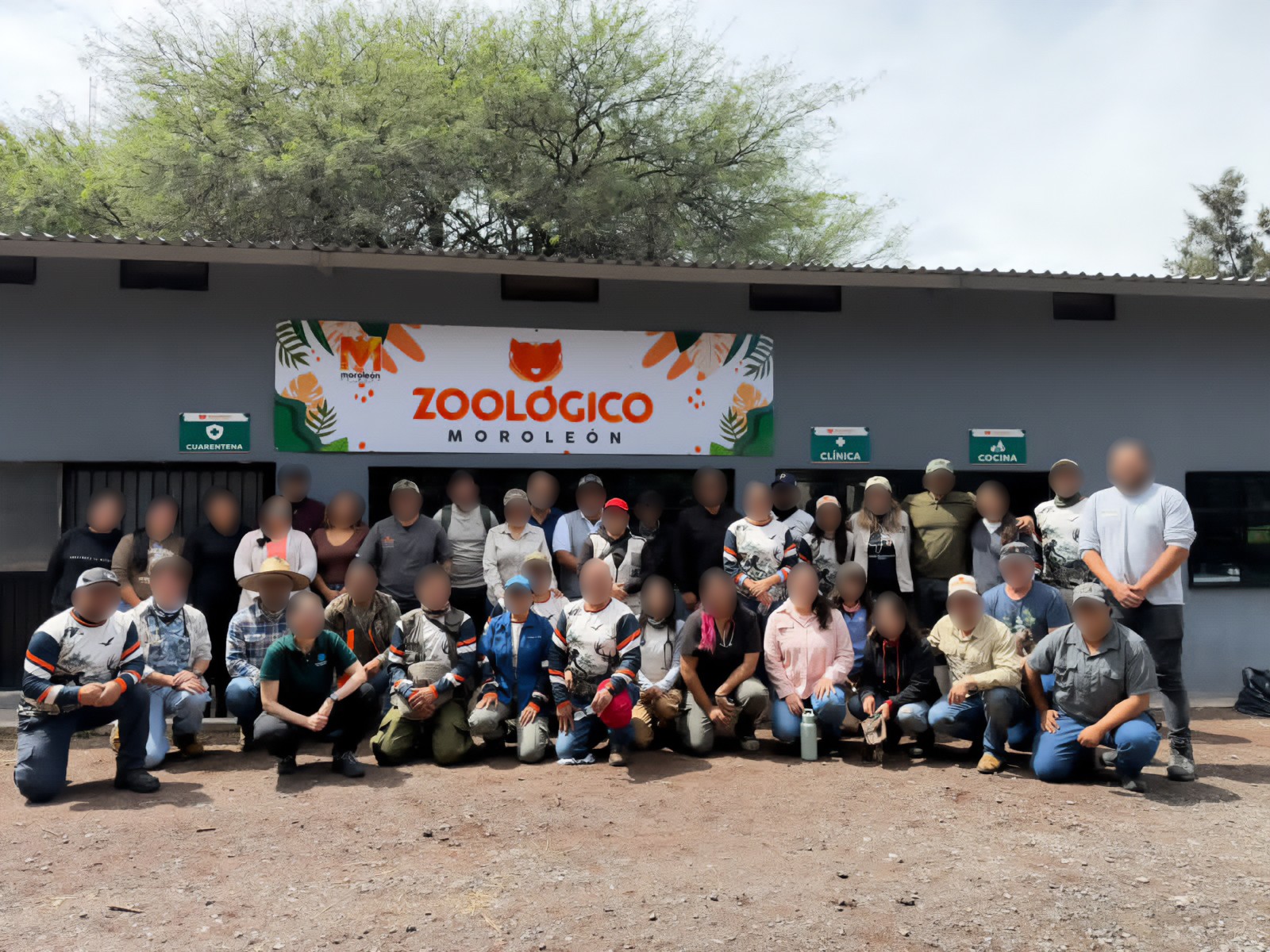 Mono araña llega a zoológico de Moroleón tras descartar su liberación Mono araña llega a zoológico de Moroleón tras descartar su liberación